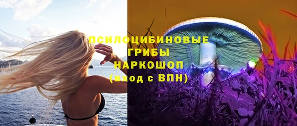 ешки Алексин
