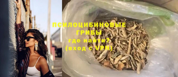 ешки Алексин