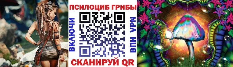 наркота  Павловская  Галлюциногенные грибы GOLDEN TEACHER 